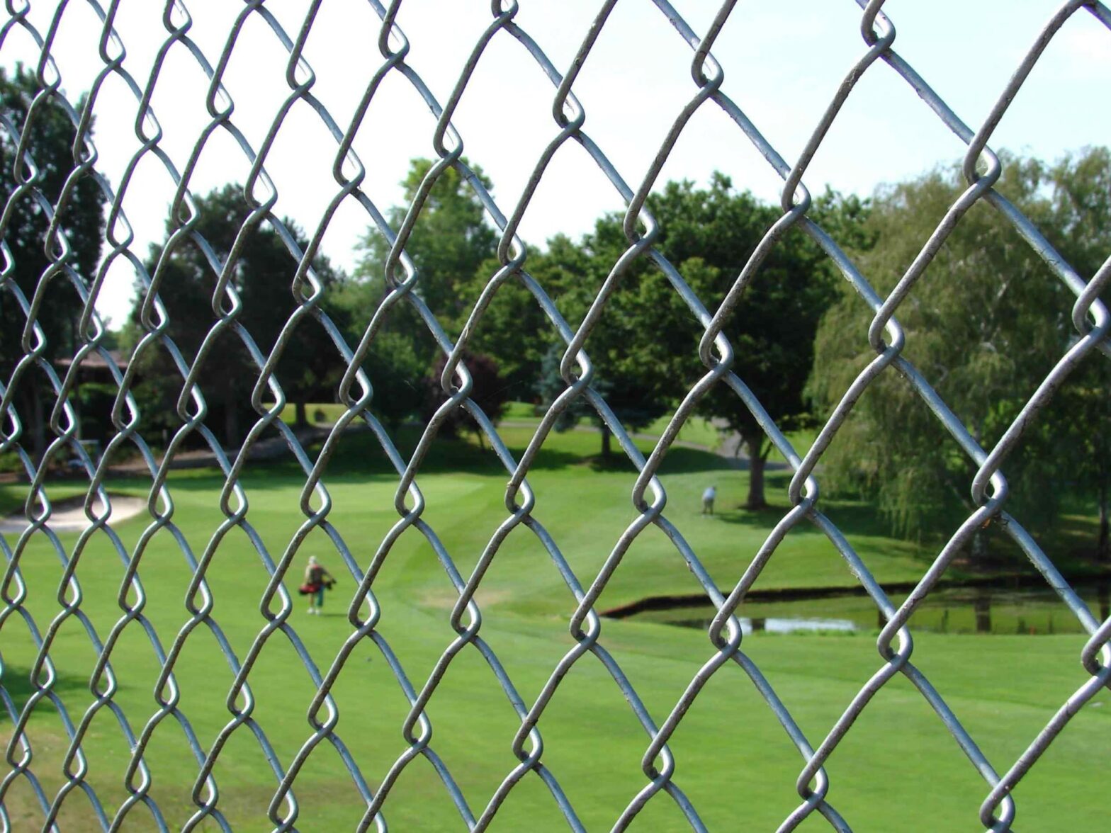 Photo of a Massachusetts chain link fence